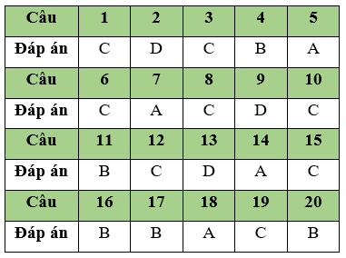 Đề thi Giữa học kì 2 Tin học lớp 11 có đáp án (Đề 1)