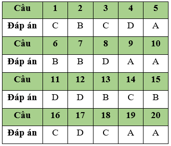 Đề thi Giữa học kì 2 Tin học lớp 11 có đáp án (Đề 2)