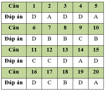 Đề thi Giữa học kì 2 Tin học lớp 11 có đáp án (Đề 3)