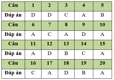 Đề thi Giữa học kì 2 Tin học lớp 11 có đáp án (Đề 4)