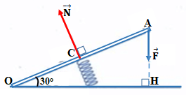 Đề thi Giữa kì 1 Vật Lí lớp 10 có đáp án (Đề 2)