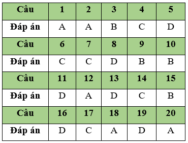 Đề thi Học kì 1 Tin học lớp 11 năm 2021 - 2022 có đáp án (Đề 1)