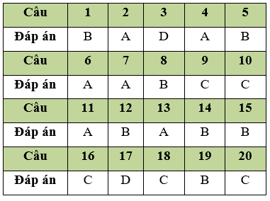 Đề thi Học kì 1 Tin học 11 có đáp án (Đề 4)