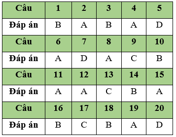 Đề thi Học kì 2 Tin học 11 có đáp án (Đề 2)