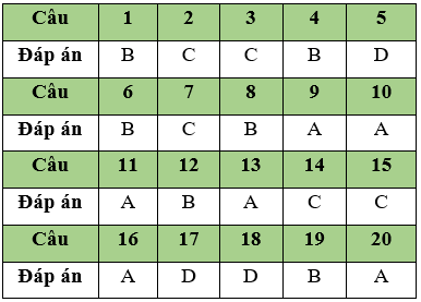 Đề thi Học kì 2 Tin học 11 có đáp án (Đề 3)