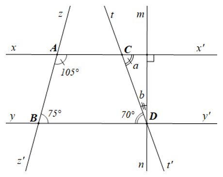 Đề thi Giữa kì 1 Toán lớp 7 Kết nối tri thức có đáp án (4 đề + ma trận)