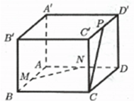 Đề thi Giữa kì 2 Toán lớp 11 có đáp án (6 đề)