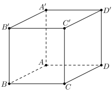 Đề thi Giữa kì 2 Toán lớp 11 có đáp án (6 đề))