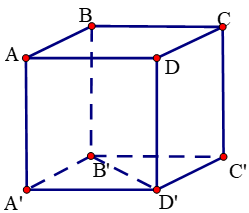 Đề thi Giữa kì 2 Toán lớp 11 có đáp án (6 đề))