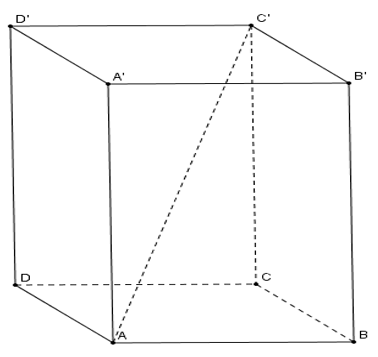 Đề thi Giữa kì 2 Toán lớp 11 có đáp án (6 đề))