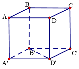 Đề thi Giữa kì 2 Toán lớp 11 có đáp án (6 đề))