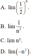 Đề thi Giữa kì 2 Toán lớp 11 có đáp án (6 đề))