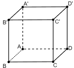 Đề thi Giữa kì 2 Toán lớp 11 có đáp án (6 đề))