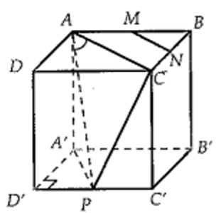 Đề thi Giữa kì 2 Toán lớp 11 có đáp án (6 đề))