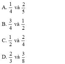 Đề thi Giữa kì 2 Toán lớp 6 có đáp án (3 đề)