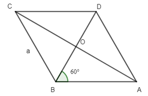 Đề thi Học kì 1 Toán lớp 10 Cánh diều có đáp án (4 đề)