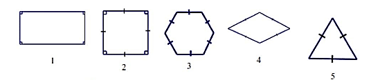 Bộ 4 Đề thi Toán lớp 6 Học kì 1 năm 2021 tải nhiều nhất | Kết nối tri thức