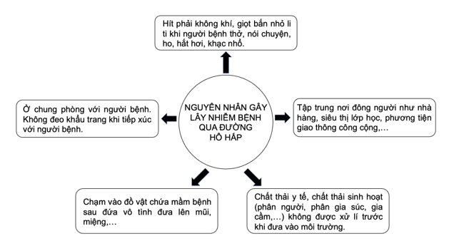 Vẽ sơ đồ khái quát nguyên nhân lây nhiễm bệnh qua đường hô hấp