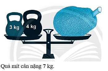 Giải vở bài tập Toán lớp 2 Tập 2 trang 102, 103, 104, 105, 106 Em làm được những gì - Chân trời sáng tạo