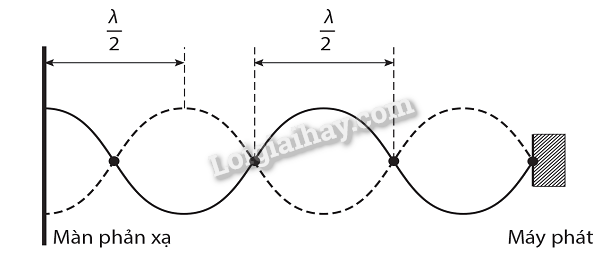 Giải SBT Vật lí 11 Chủ đề 2 (Cánh diều): Sóng (ảnh 11)