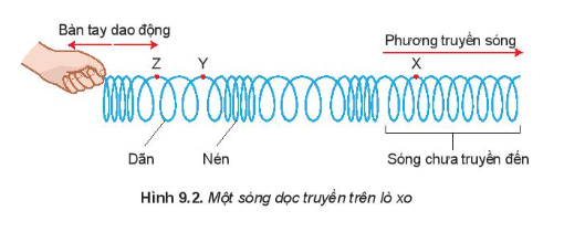 Lý thuyết Sóng ngang. Sóng dọc. Sự truyền năng lượng của sóng cơ (Kết nối tri thức 2023) hay, chi tiết | Vật Lí 11 (ảnh 2)