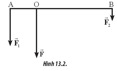 Sách bài tập Vật lí 10 Bài 13: Moment lực. Điều kiện cân bằng - Chân trời sáng tạo (ảnh 1)