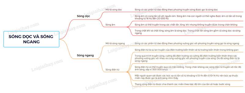 Lý thuyết Sóng dọc và sóng ngang (Cánh diều 2023) hay, chi tiết | Vật Lí 11 (ảnh 6)