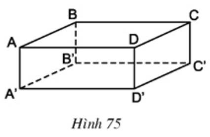 Giải bài tập SGK Toán lớp 8 bài 2: Hình hộp chữ nhật (tiếp)