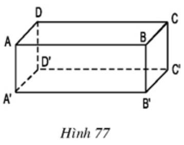 Giải bài tập SGK Toán lớp 8 bài 2: Hình hộp chữ nhật (tiếp)