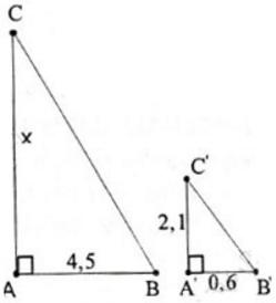 Giải bài tập SGK Toán lớp 8 bài 8: Các trường hợp đồng dạng của tam giác vuông