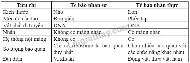 Sinh học 10 Bài 9: Tế bào nhân thực | Giải Sinh 10 Chân trời sáng tạo (ảnh 11)