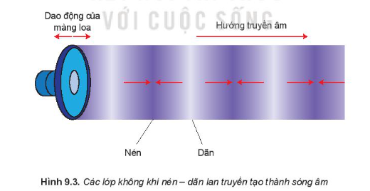 Lý thuyết Sóng ngang. Sóng dọc. Sự truyền năng lượng của sóng cơ (Kết nối tri thức 2023) hay, chi tiết | Vật Lí 11 (ảnh 3)