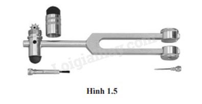 Giải SBT Vật lí 11 Chủ đề 1 (Cánh diều): Dao động (ảnh 3)