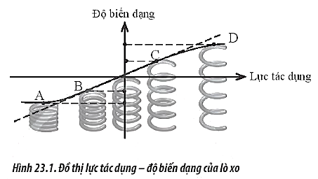 Sách bài tập Vật lí 10 Bài 23: Định luật Hooke - Chân trời sáng tạo (ảnh 1)