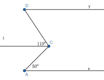 Sách bài tập Toán 7 Bài 10: Tiên đề Euclid. Tính chất của hai đường thẳng song song - Kết nối tri thức (ảnh 1)