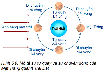 Chuyên đề Vật lí 10 Bài 5: Đặc điểm chuyển động nhìn thấy của một số thiên thể trên nền trời sao - Kết nối tri thức (ảnh 1)