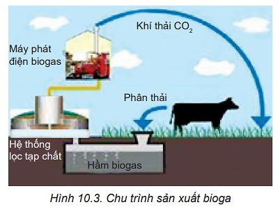 Chuyên đề Vật lí 10 Bài 10: Năng lượng tái tạo và một số công nghệ thu năng lượng tái tạo - Kết nối tri thức (ảnh 1)