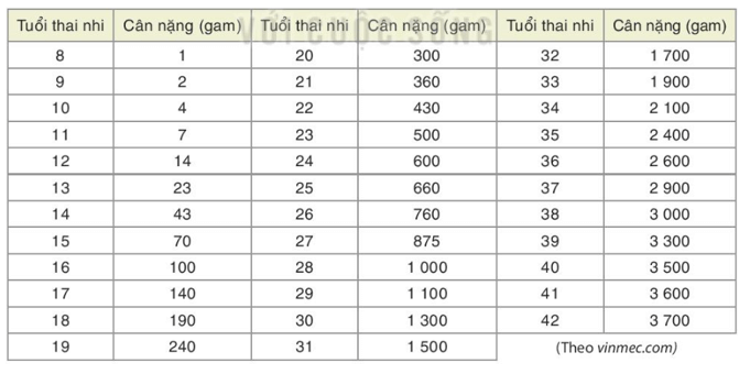 HĐ4 trang 94 Toán 8 Tập 1 | Kết nối tri thức Giải Toán 8