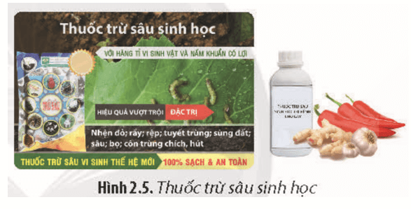 Quan sát Hình 2.5 và nêu đặc điểm của các loại thuốc trừ sâu sinh học