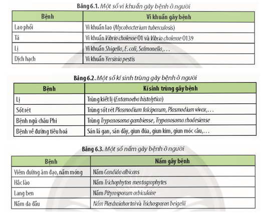 Đọc thông tin ở các Bảng 6.1, 6.2, 6.3 và 6.4 hãy kể tên những tác nhân đã từng gây nên bệnh dịch 