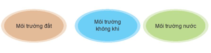 Hoạt động 1 trang 51 HĐTN lớp 10 - Kết nối tri thức