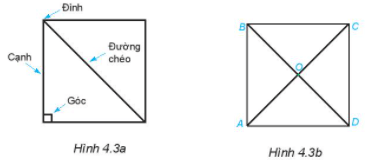 Quan sát Hình 4.3a. Nêu tên các đỉnh, cạnh, đường chéo