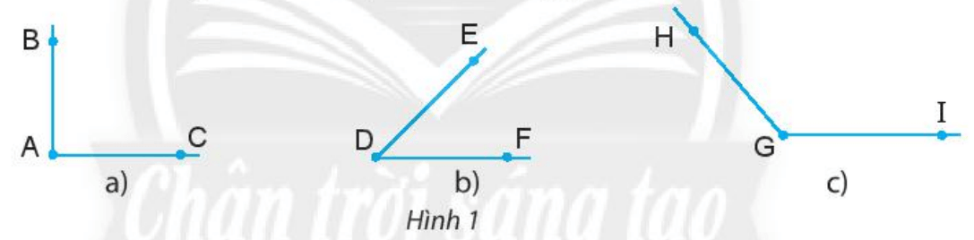 Các hình trong Hình 1 có đặc điểm chung gì?