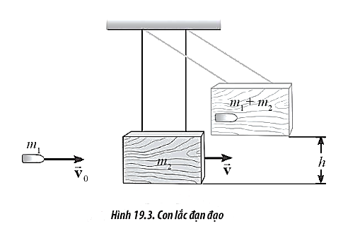 Sách bài tập Vật lí 10 Bài 19: Các loại va chạm - Chân trời sáng tạo (ảnh 1)