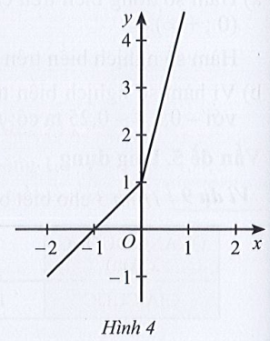 Sách bài tập Toán 10 Bài 1: Hàm số và đồ thị - Cánh diều (ảnh 1)