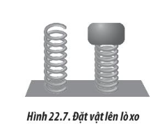 Sách bài tập Vật lí 10 Bài 22: Biến dạng của vật rắn. Đặc tính của lò xo - Chân trời sáng tạo (ảnh 1)