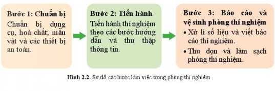 Sinh học 10 Bài 1: Làm quen với Sinh học | Giải Sinh 10 Cánh diều (ảnh 1)