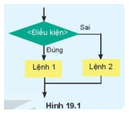 Tin học 10 Bài 19: Câu lệnh rẽ nhánh If | Kết nối tri thức (ảnh 1)