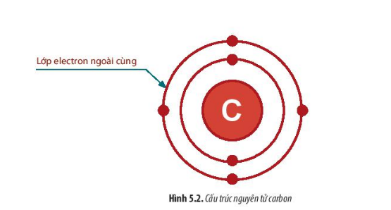 Sinh học 10 Bài 4: Khái quát về tế bào | Giải Sinh 10 Chân trời sáng tạo (ảnh 1)