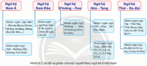 Lịch Sử 10 Bài 19: Các dân tộc trên đất nước Việt Nam | Chân trời sáng tạo (ảnh 2)